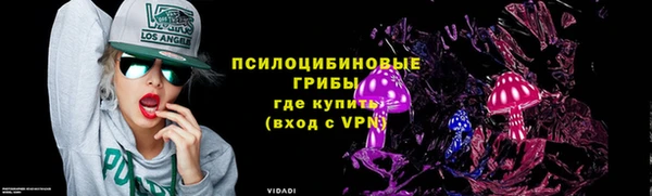 ПСИЛОЦИБИНОВЫЕ ГРИБЫ Лабытнанги