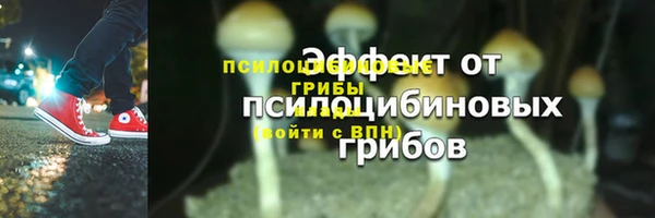 мдма Ладушкин