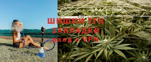 дмт Лагань