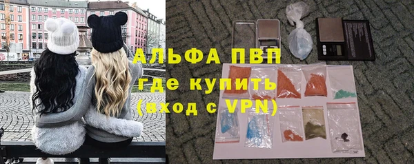 ПСИЛОЦИБИНОВЫЕ ГРИБЫ Лабытнанги