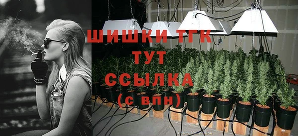 дмт Лагань