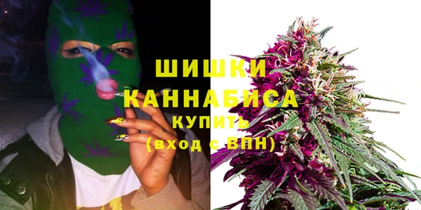 дмт Лагань