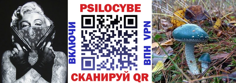 мега маркетплейс  Могоча  Псилоцибиновые грибы мухоморы  где найти наркотики 
