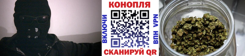 Каннабис сатива  Могоча 